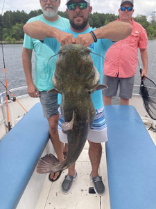 Largemouth Bass: Sam Rayburn